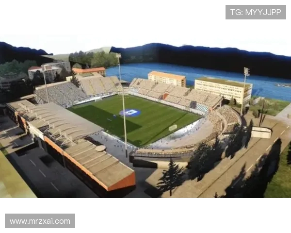 意甲球队主场球场内部设施与看台布局图集