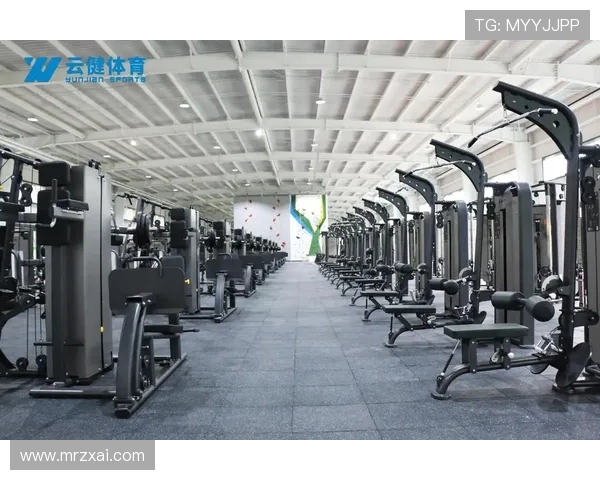 钢铁艺术馆现代健身房器械视觉档案