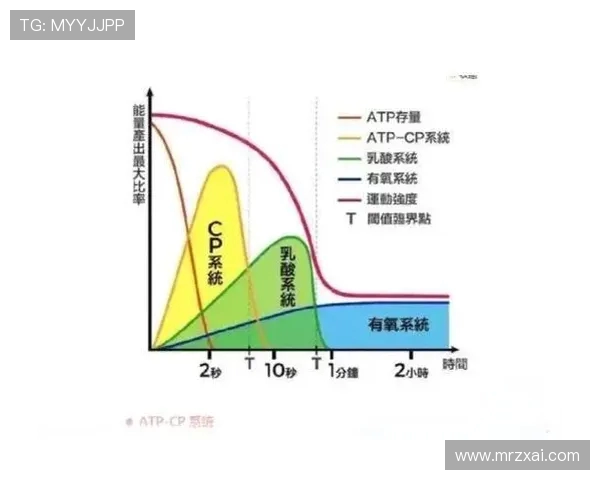 高强度有氧训练与脂肪燃烧的关系